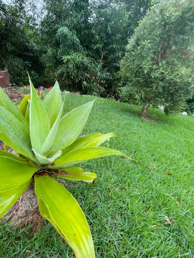 Villa Italia Chale Santo Antônio do Pinhal Dış mekan fotoğraf